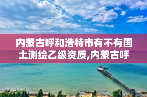 内蒙古呼和浩特市有不有国土测绘乙级资质,内蒙古呼和浩特市有不有国土测绘乙级资质的。