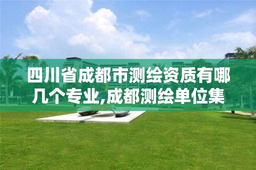 四川省成都市测绘资质有哪几个专业,成都测绘单位集中在哪些地方。