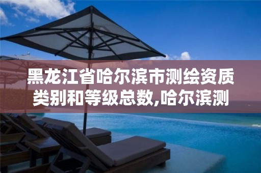 黑龙江省哈尔滨市测绘资质类别和等级总数,哈尔滨测绘局幼儿园是民办还是公办。