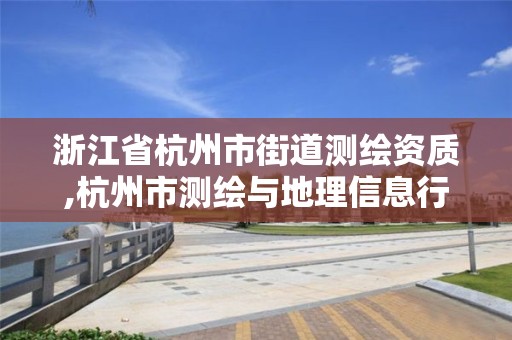 浙江省杭州市街道测绘资质,杭州市测绘与地理信息行业协会