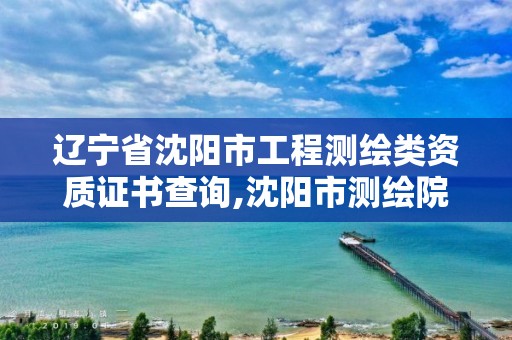 辽宁省沈阳市工程测绘类资质证书查询,沈阳市测绘院电话。