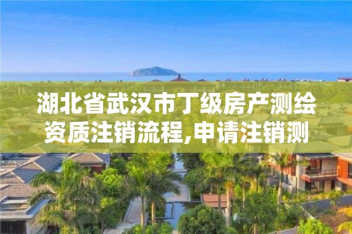 湖北省武汉市丁级房产测绘资质注销流程,申请注销测绘资质的流程