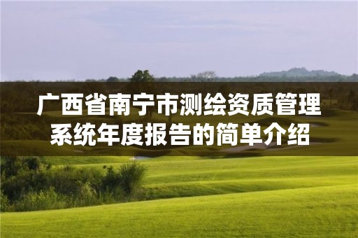 广西省南宁市测绘资质管理系统年度报告的简单介绍