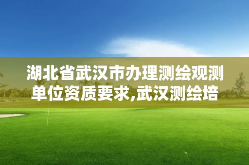 湖北省武汉市办理测绘观测单位资质要求,武汉测绘培训机构。