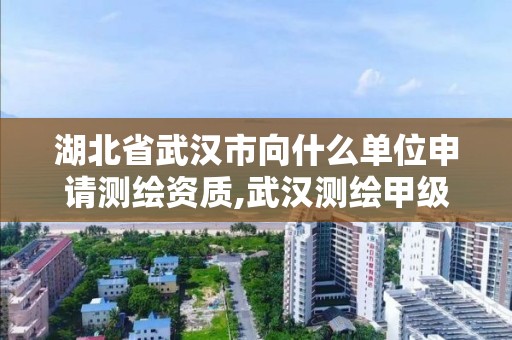 湖北省武汉市向什么单位申请测绘资质,武汉测绘甲级资质公司