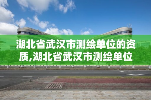 湖北省武汉市测绘单位的资质,湖北省武汉市测绘单位的资质有哪些