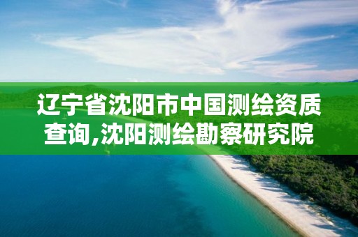 辽宁省沈阳市中国测绘资质查询,沈阳测绘勘察研究院有限公司