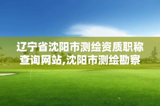 辽宁省沈阳市测绘资质职称查询网站,沈阳市测绘勘察研究院