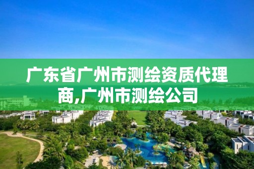 广东省广州市测绘资质代理商,广州市测绘公司