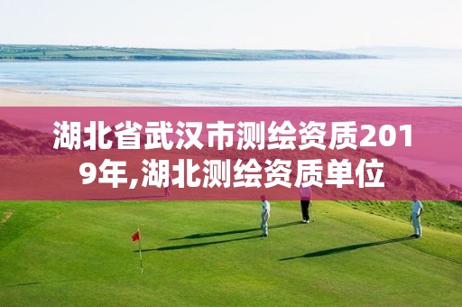 湖北省武汉市测绘资质2019年,湖北测绘资质单位