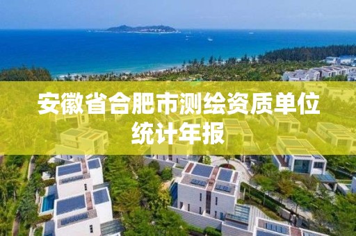 安徽省合肥市测绘资质单位统计年报