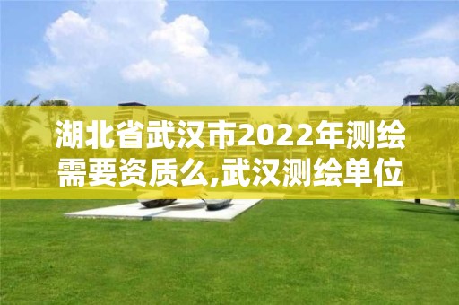 湖北省武汉市2022年测绘需要资质么,武汉测绘单位