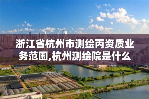 浙江省杭州市测绘丙资质业务范围,杭州测绘院是什么单位。