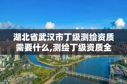 湖北省武汉市丁级测绘资质需要什么,测绘丁级资质全套申请文件。