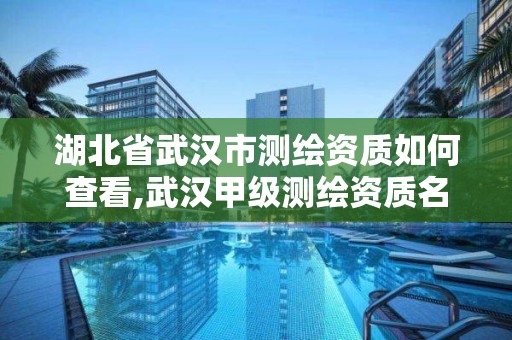 湖北省武汉市测绘资质如何查看,武汉甲级测绘资质名录