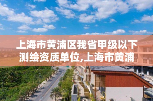 上海市黄浦区我省甲级以下测绘资质单位,上海市黄浦区我省甲级以下测绘资质单位有几个