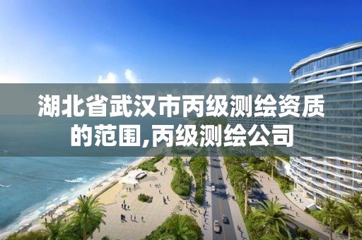 湖北省武汉市丙级测绘资质的范围,丙级测绘公司