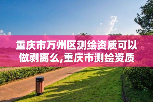 重庆市万州区测绘资质可以做剥离么,重庆市测绘资质管理办法。