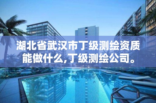 湖北省武汉市丁级测绘资质能做什么,丁级测绘公司。