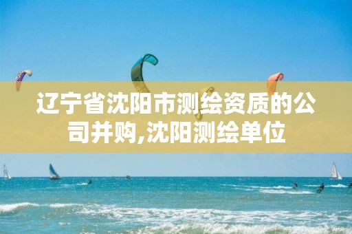 辽宁省沈阳市测绘资质的公司并购,沈阳测绘单位