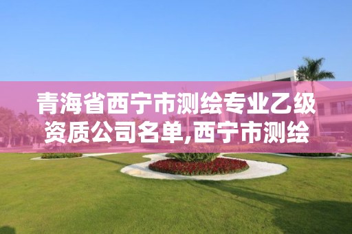 青海省西宁市测绘专业乙级资质公司名单,西宁市测绘院招聘公示。