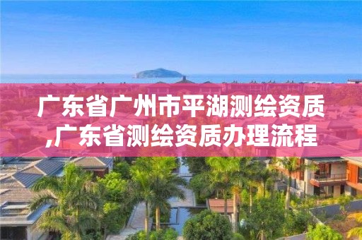 广东省广州市平湖测绘资质,广东省测绘资质办理流程