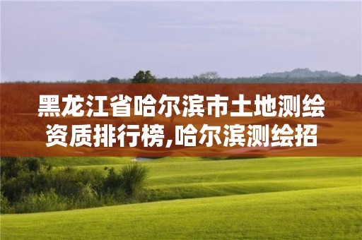 黑龙江省哈尔滨市土地测绘资质排行榜,哈尔滨测绘招聘信息。