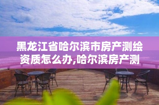 黑龙江省哈尔滨市房产测绘资质怎么办,哈尔滨房产测绘公司