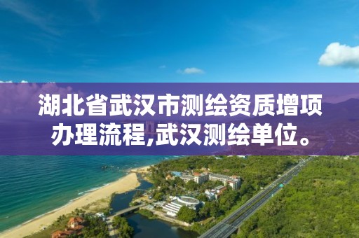 湖北省武汉市测绘资质增项办理流程,武汉测绘单位。