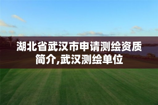 湖北省武汉市申请测绘资质简介,武汉测绘单位