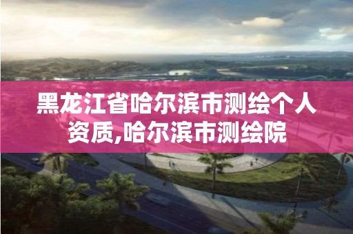 黑龙江省哈尔滨市测绘个人资质,哈尔滨市测绘院