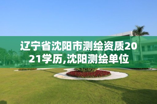 辽宁省沈阳市测绘资质2021学历,沈阳测绘单位