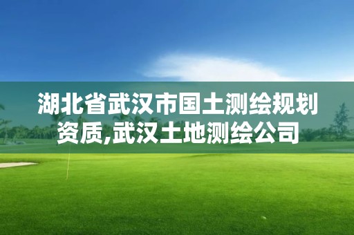 湖北省武汉市国土测绘规划资质,武汉土地测绘公司