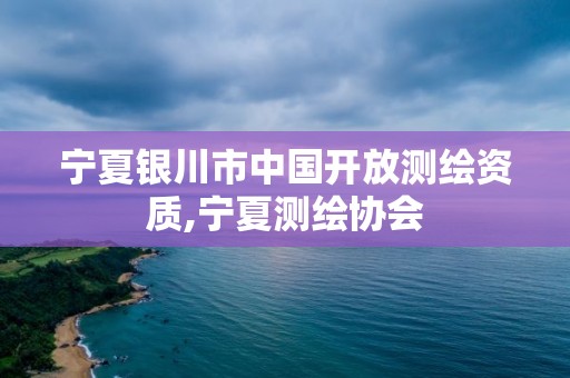 宁夏银川市中国开放测绘资质,宁夏测绘协会