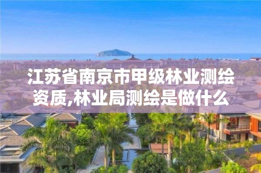 江苏省南京市甲级林业测绘资质,林业局测绘是做什么的