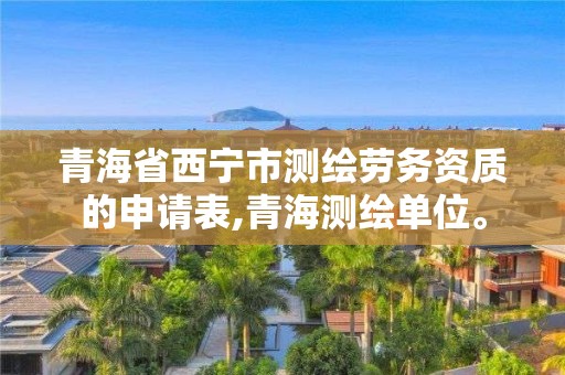 青海省西宁市测绘劳务资质的申请表,青海测绘单位。