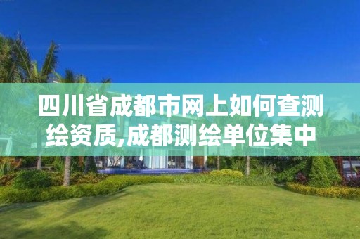 四川省成都市网上如何查测绘资质,成都测绘单位集中在哪些地方