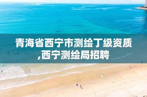 青海省西宁市测绘丁级资质,西宁测绘局招聘