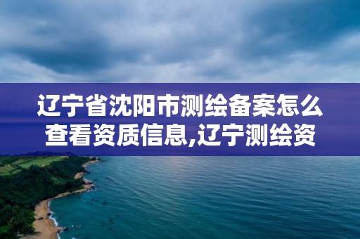 辽宁省沈阳市测绘备案怎么查看资质信息,辽宁测绘资质查询