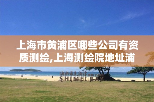 上海市黄浦区哪些公司有资质测绘,上海测绘院地址浦东