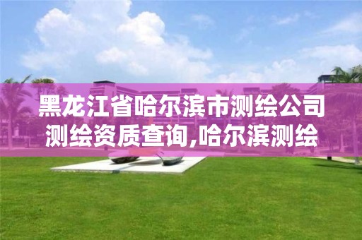 黑龙江省哈尔滨市测绘公司测绘资质查询,哈尔滨测绘局是干什么的