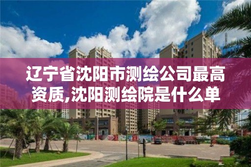 辽宁省沈阳市测绘公司最高资质,沈阳测绘院是什么单位