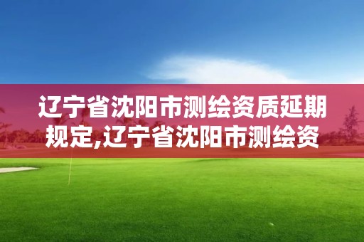 辽宁省沈阳市测绘资质延期规定,辽宁省沈阳市测绘资质延期规定公告