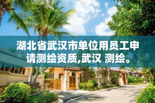 湖北省武汉市单位用员工申请测绘资质,武汉 测绘。