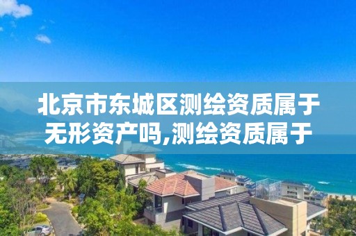 北京市东城区测绘资质属于无形资产吗,测绘资质属于什么类型