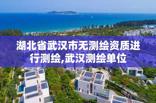 湖北省武汉市无测绘资质进行测绘,武汉测绘单位