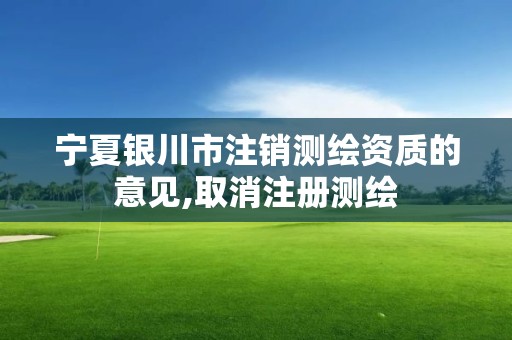 宁夏银川市注销测绘资质的意见,取消注册测绘