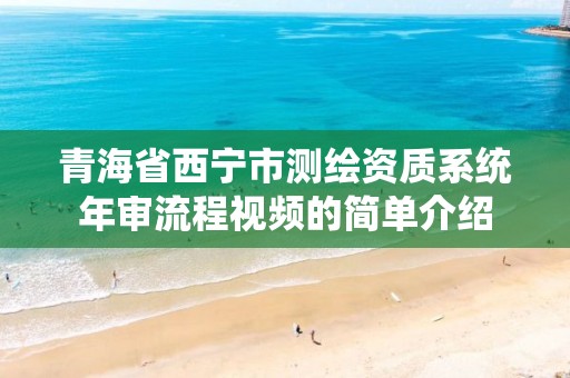 青海省西宁市测绘资质系统年审流程视频的简单介绍