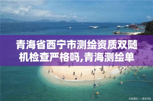 青海省西宁市测绘资质双随机检查严格吗,青海测绘单位