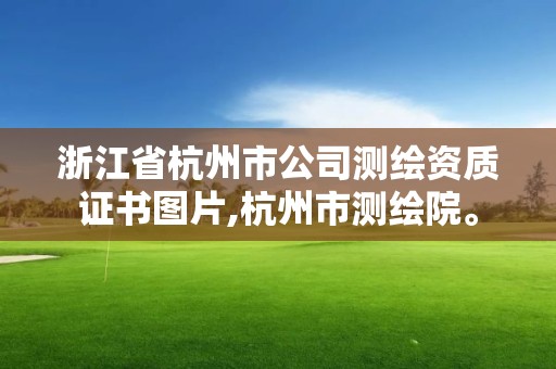 浙江省杭州市公司测绘资质证书图片,杭州市测绘院。